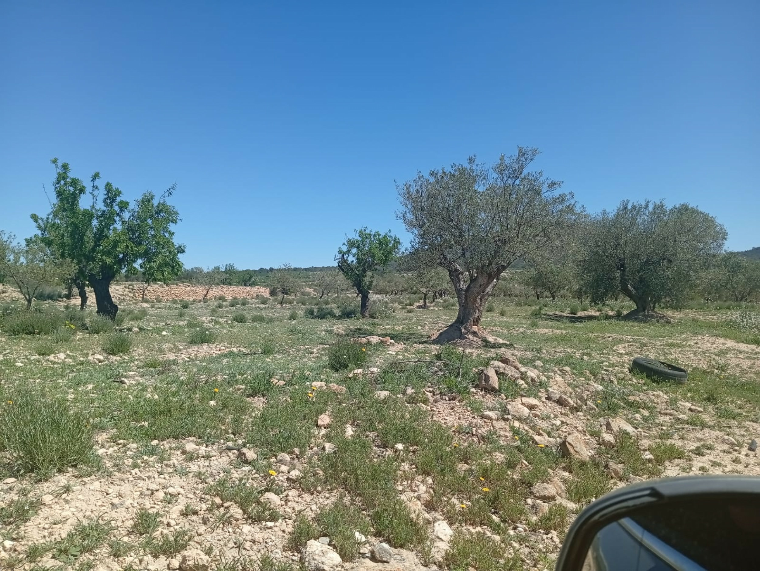 Land In Salinas, Spain (13.062 M² Plot)