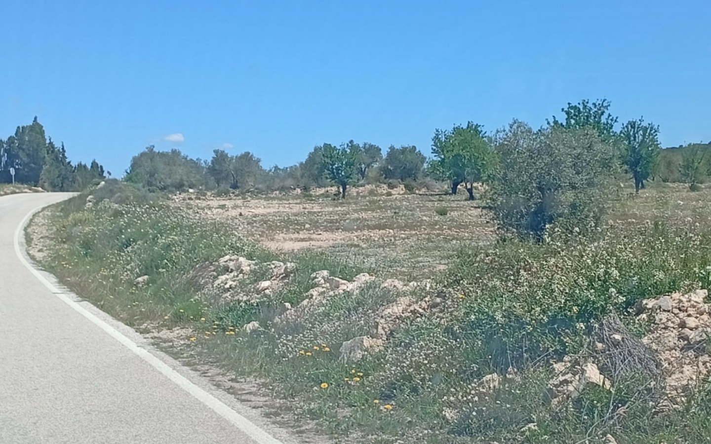 Land In Salinas, Spain (13.062 M² Plot)