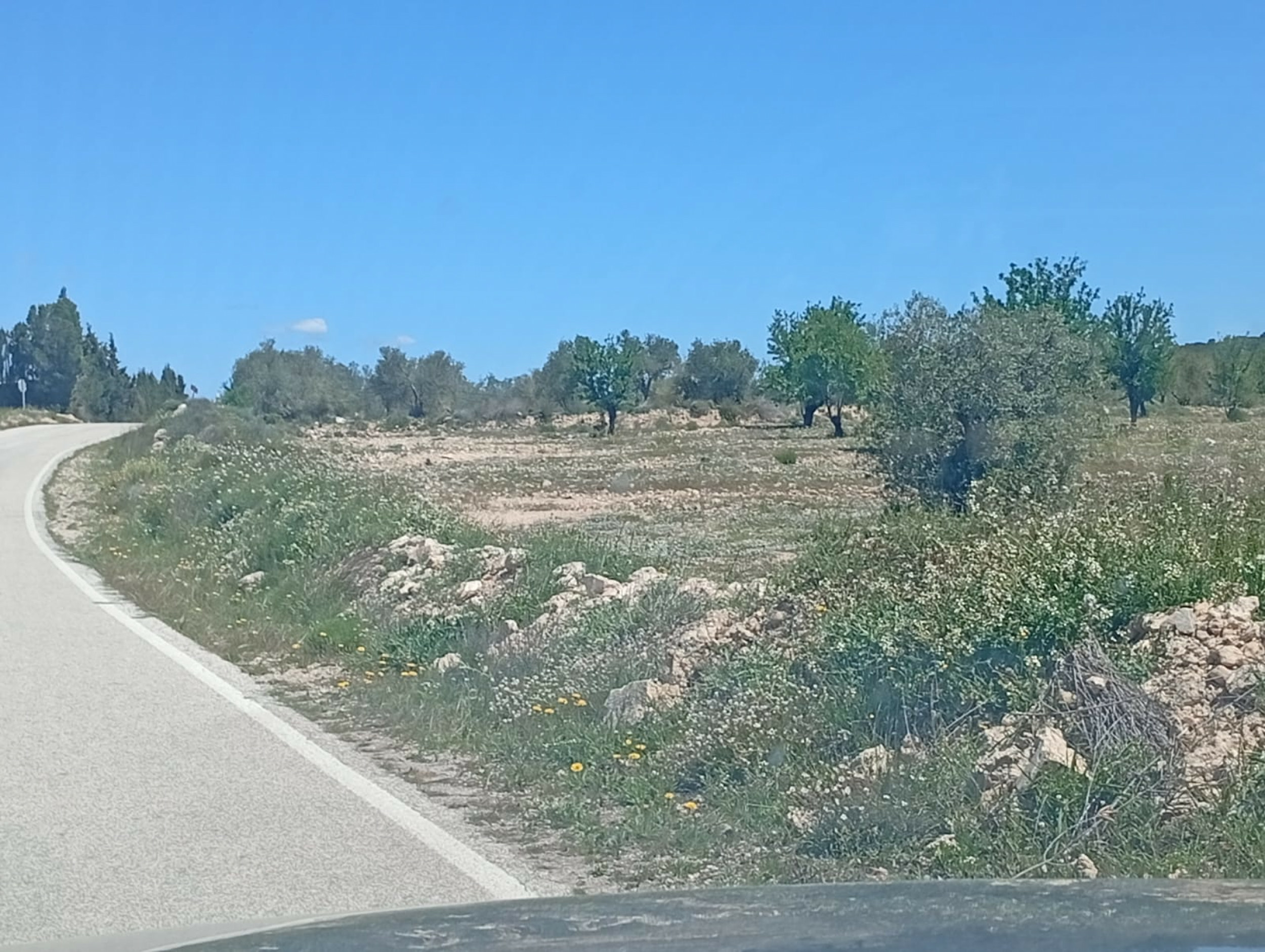 Land In Salinas, Spain (13.062 M² Plot)