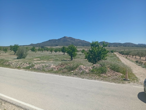 Land In Salinas, Spain (13.062 M² Plot)