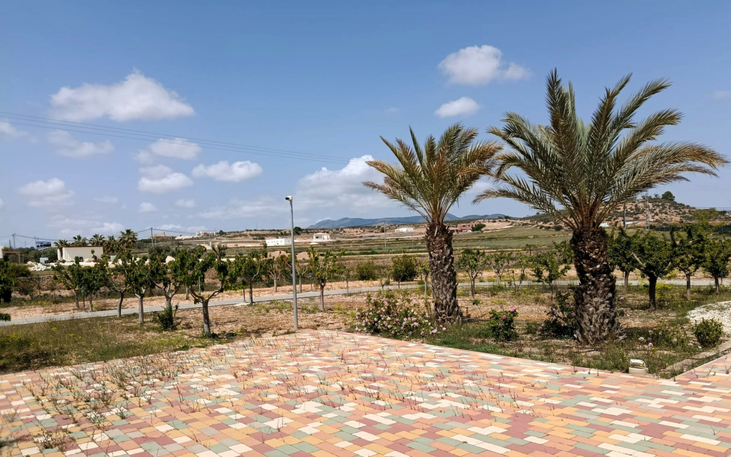 4-bedroom Detached Villa In Pinoso, Spain (209 M²)