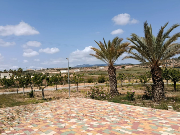 4-bedroom Detached Villa In Pinoso, Spain (209 M²)