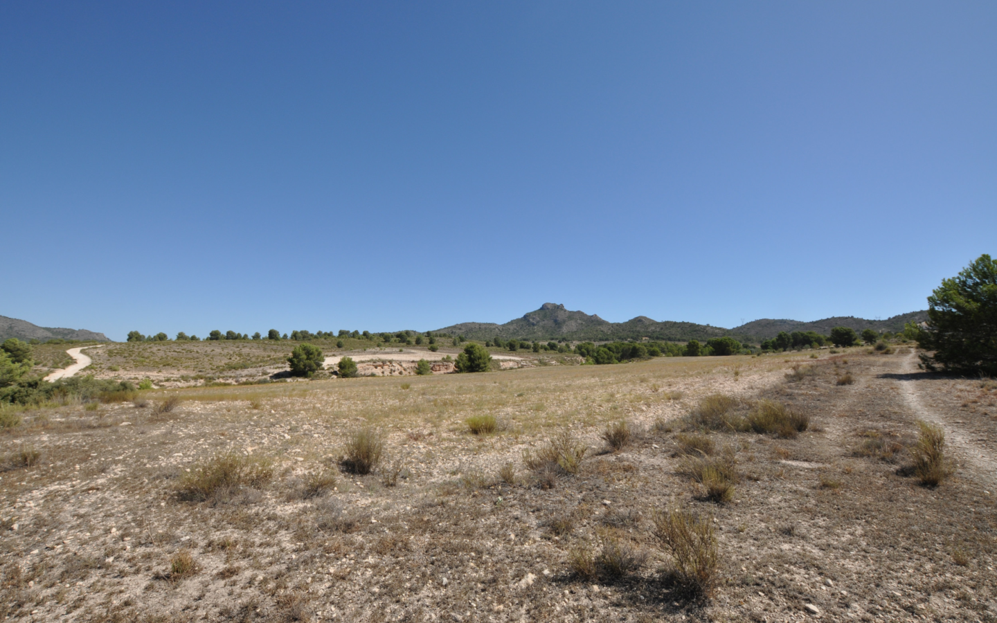 Land In Salinas, Spain (25.532 M² Plot)