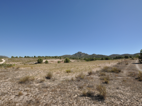 Land In Salinas, Spain (25.532 M² Plot)