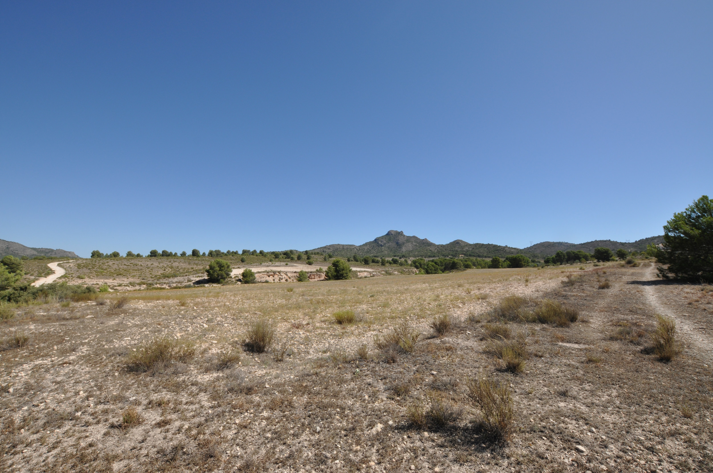Land In Salinas, Spain (25.532 M² Plot)