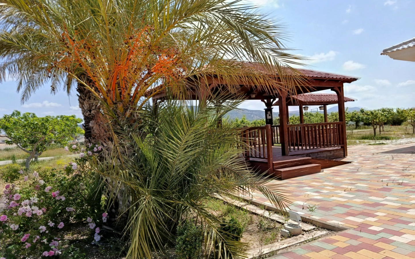 4-bedroom Detached Villa In Pinoso, Spain (209 M²)