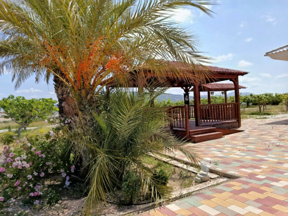4-bedroom Detached Villa In Pinoso, Spain (209 M²)