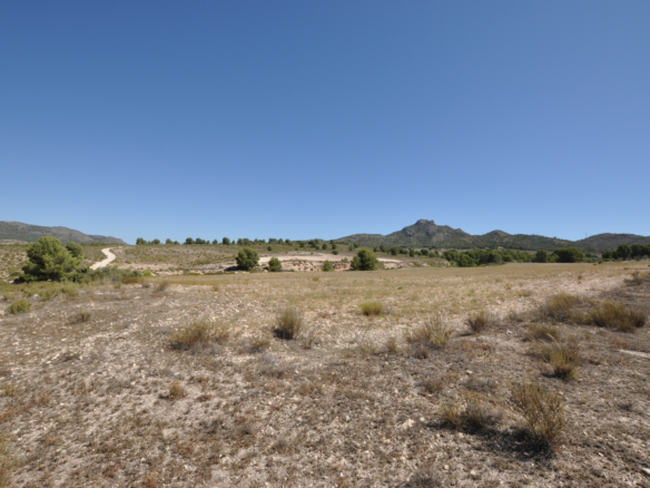 Land In Salinas, Spain (25.532 M² Plot)