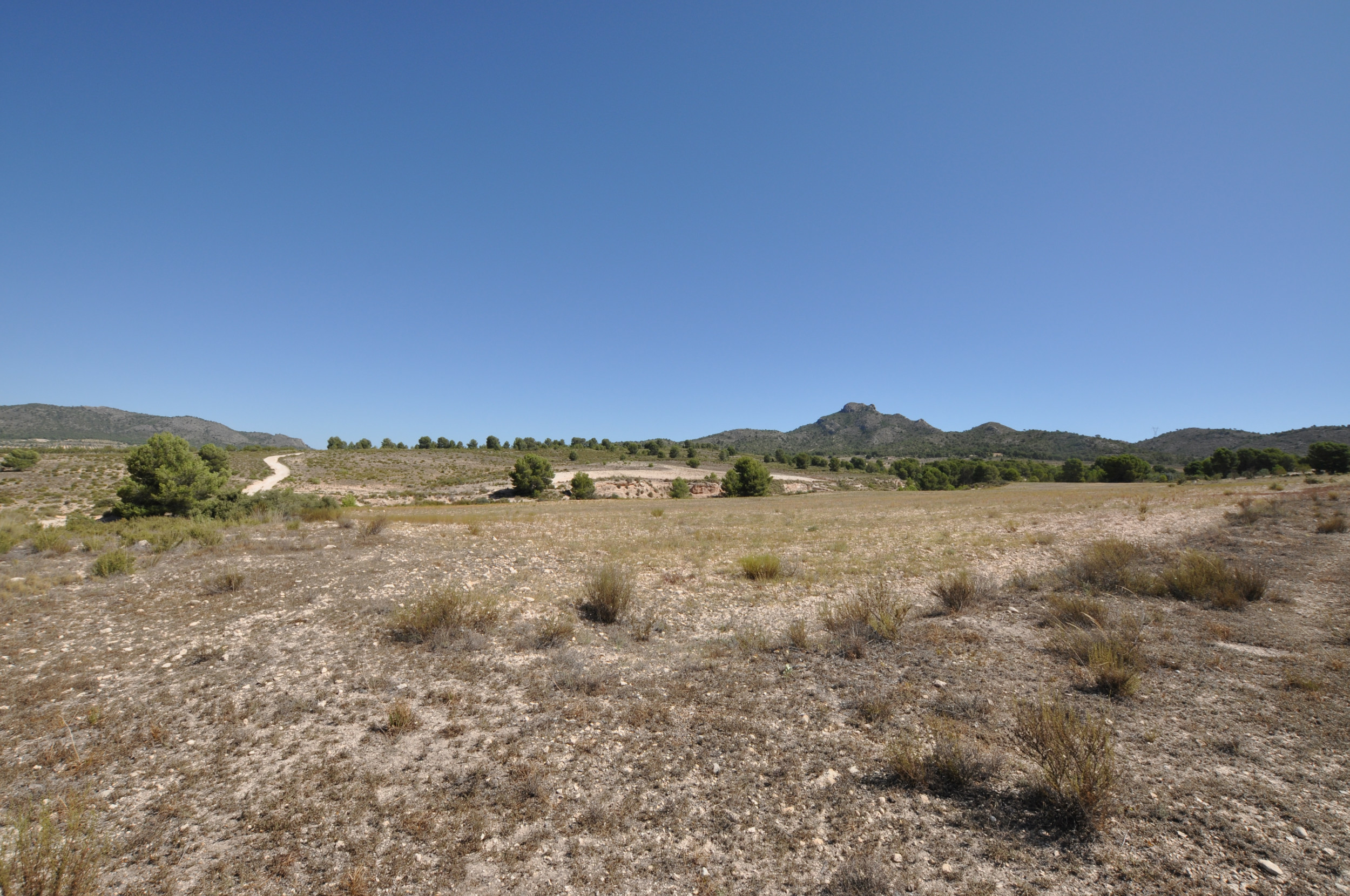 Land In Salinas, Spain (25.532 M² Plot)