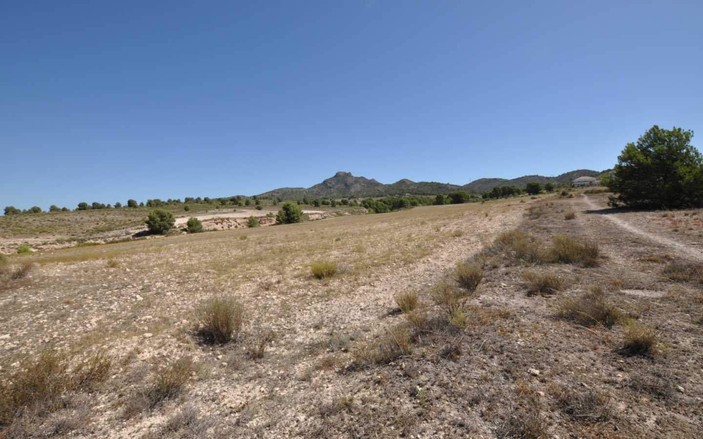 Land In Salinas, Spain (25.532 M² Plot)