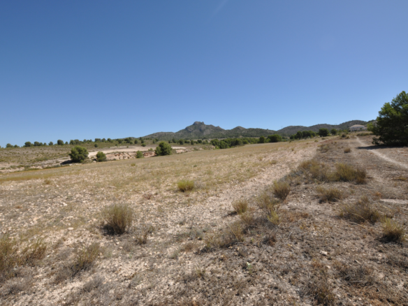 Land In Salinas, Spain (25.532 M² Plot)