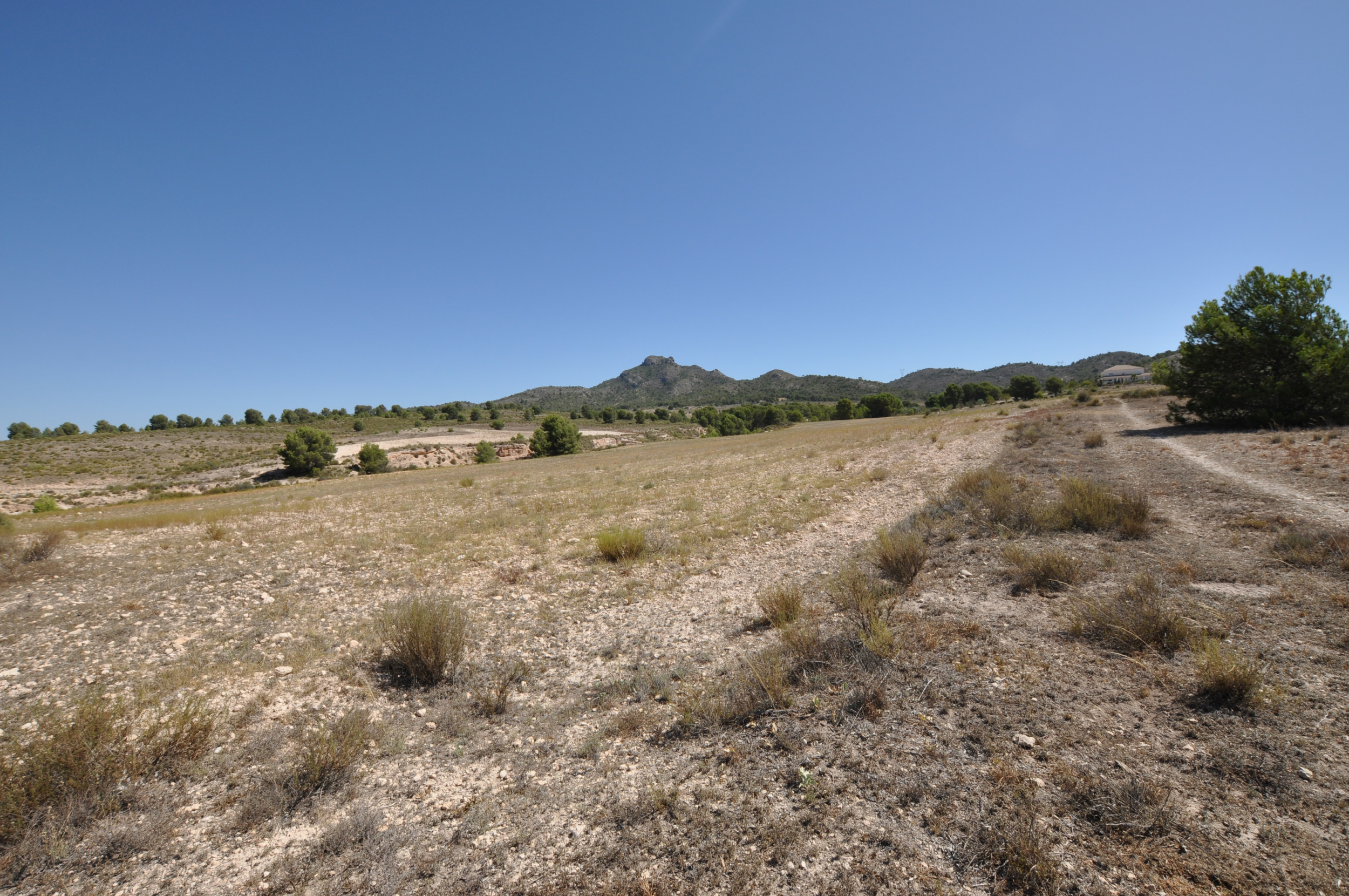Land In Salinas, Spain (25.532 M² Plot)