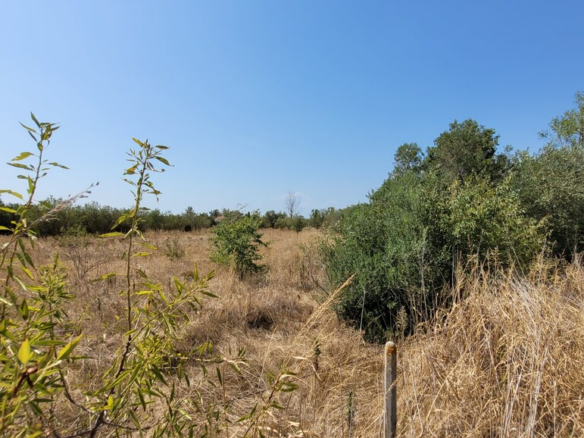 Land In Thermi, Greece