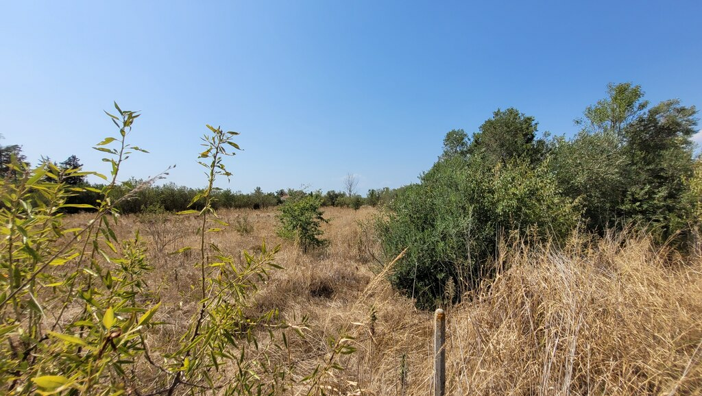 Land In Thermi, Greece