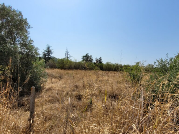 Land In Thermi, Greece