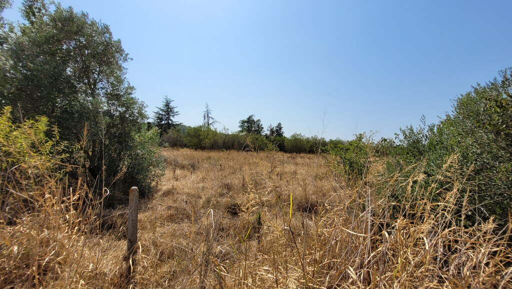 Land In Thermi, Greece