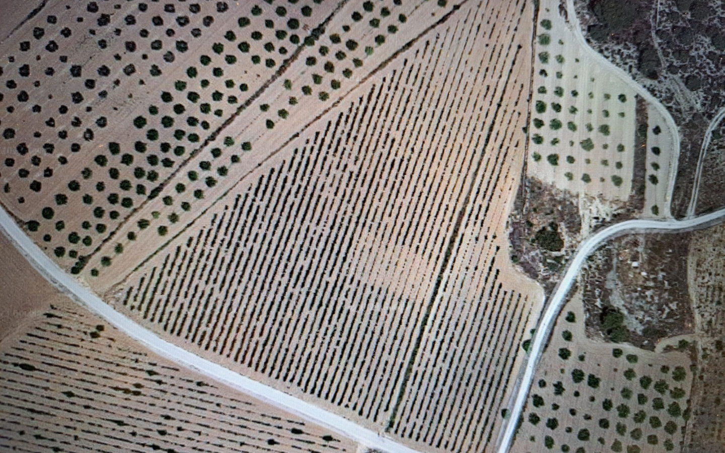 Land In Pinoso, Spain (17.568 M² Plot)