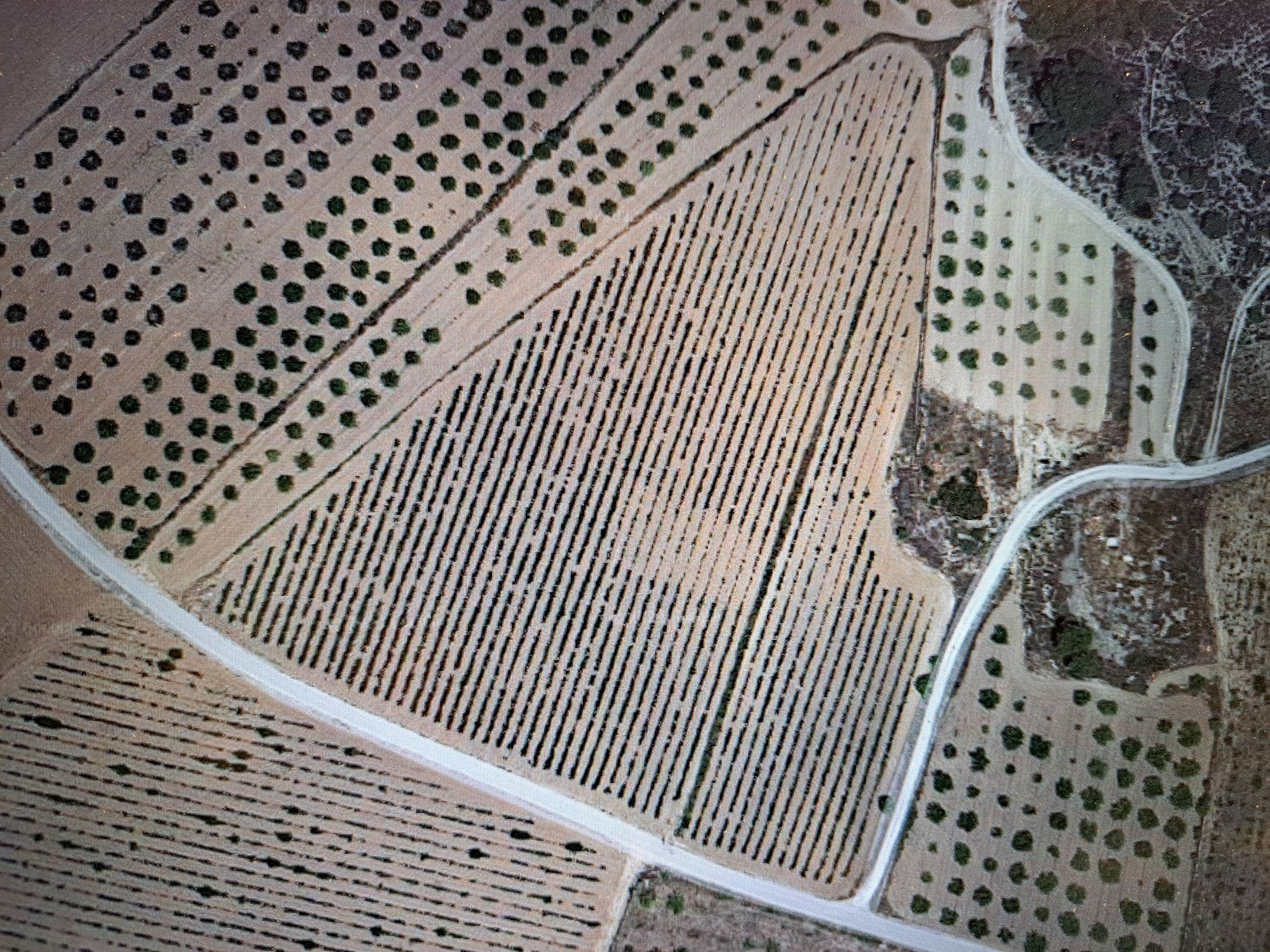 Land In Pinoso, Spain (17.568 M² Plot)