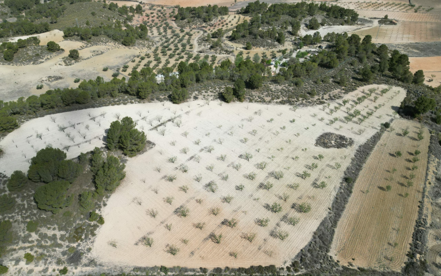 Land In La Zarza, Spain (28.238 M² Plot)