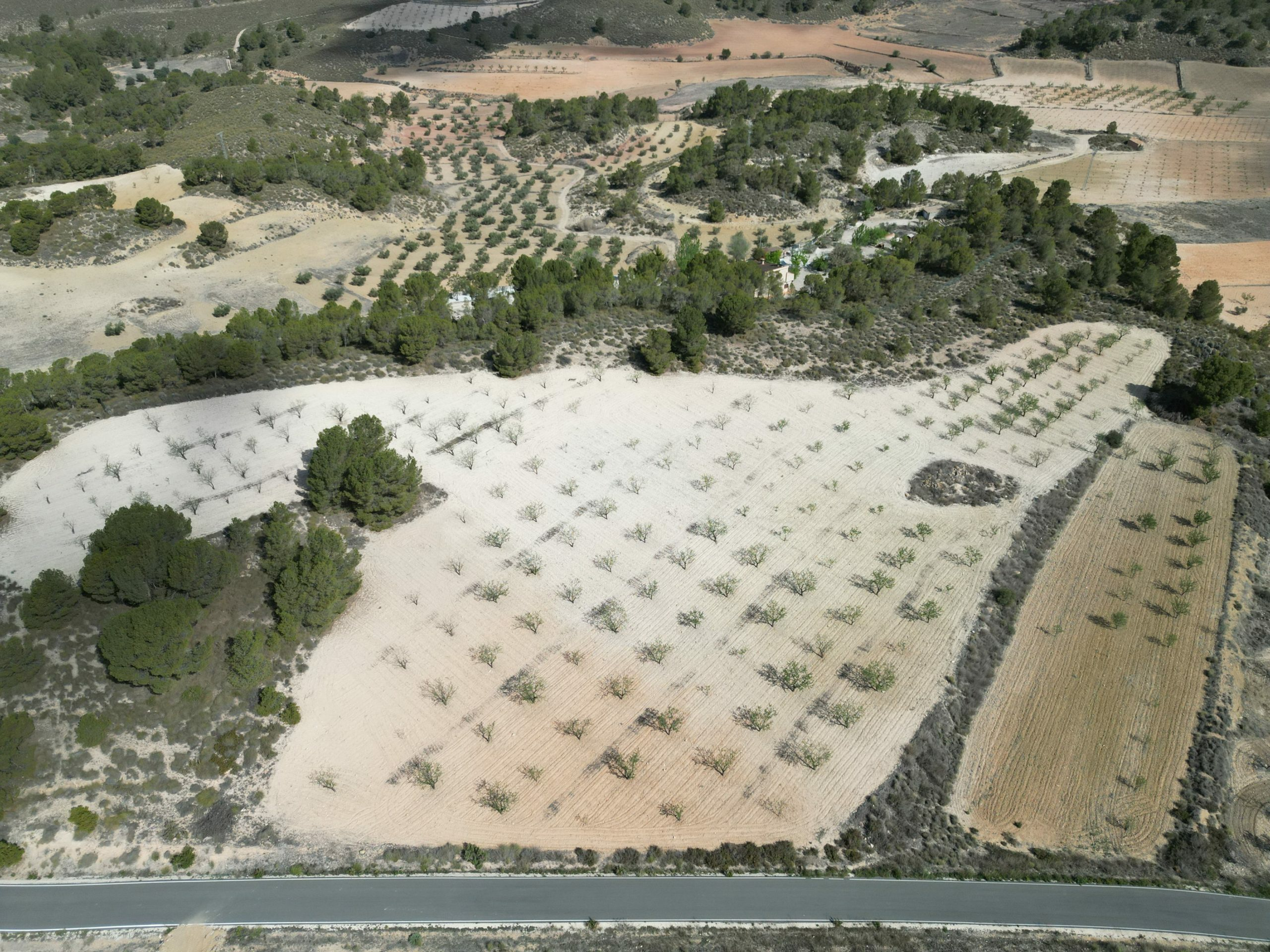 Land In La Zarza, Spain (28.238 M² Plot)