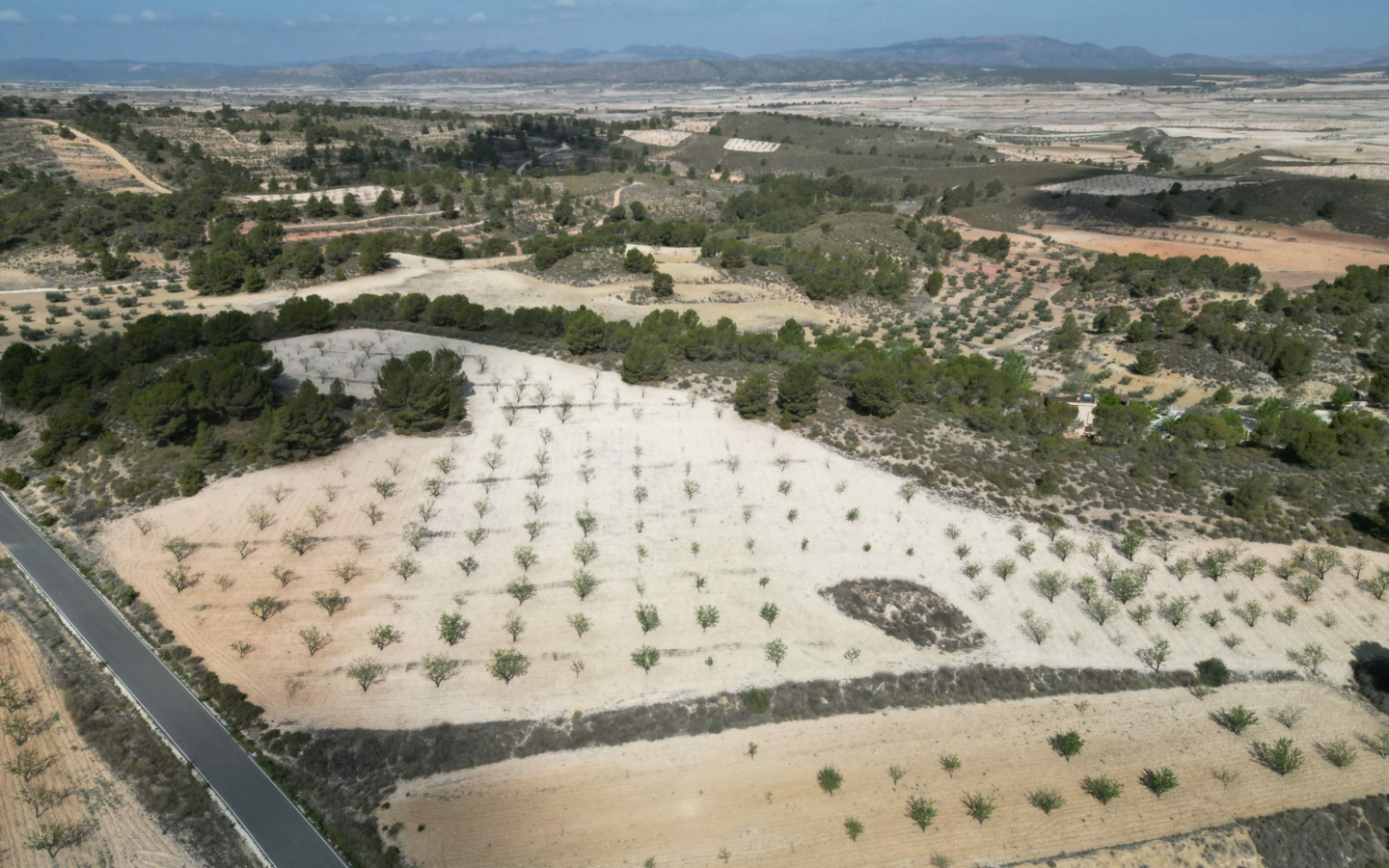 Land In La Zarza, Spain (28.238 M² Plot)
