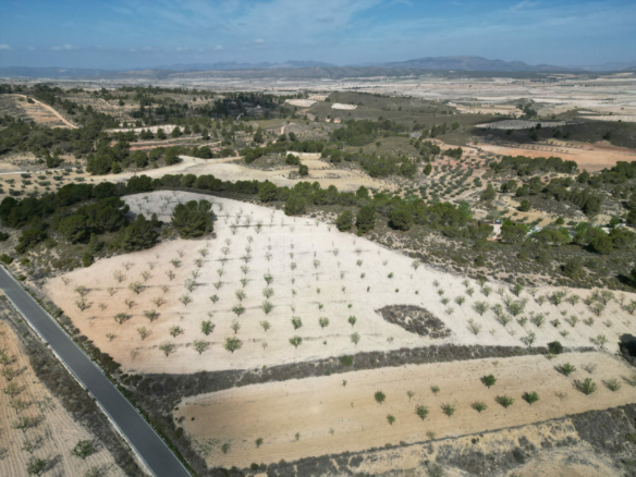 Land In La Zarza, Spain (28.238 M² Plot)