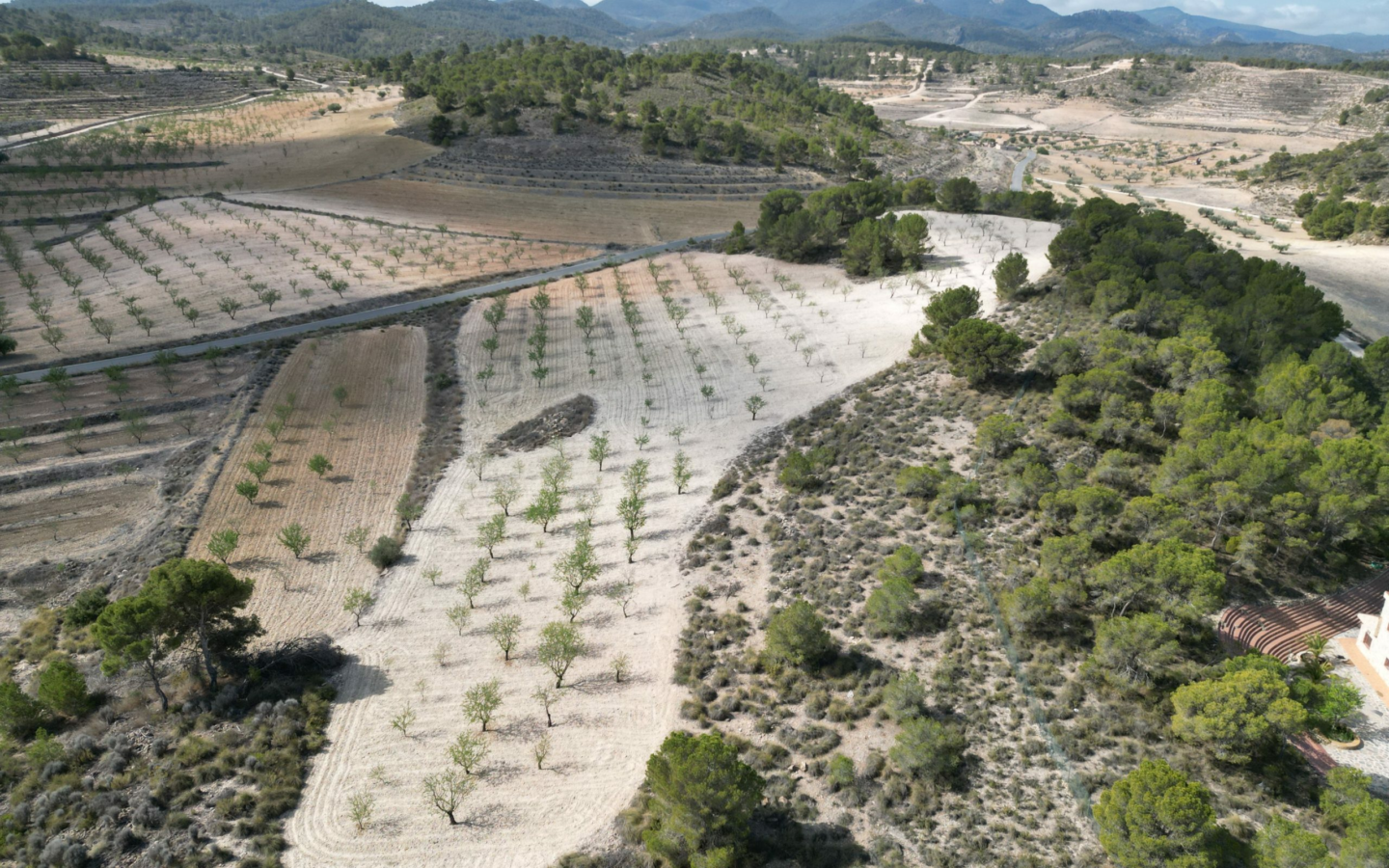 Land In La Zarza, Spain (28.238 M² Plot)