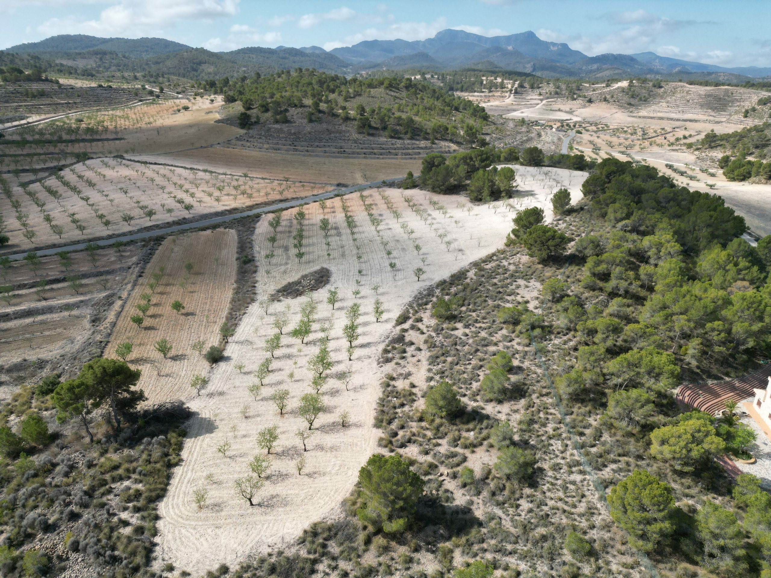 Land In La Zarza, Spain (28.238 M² Plot)