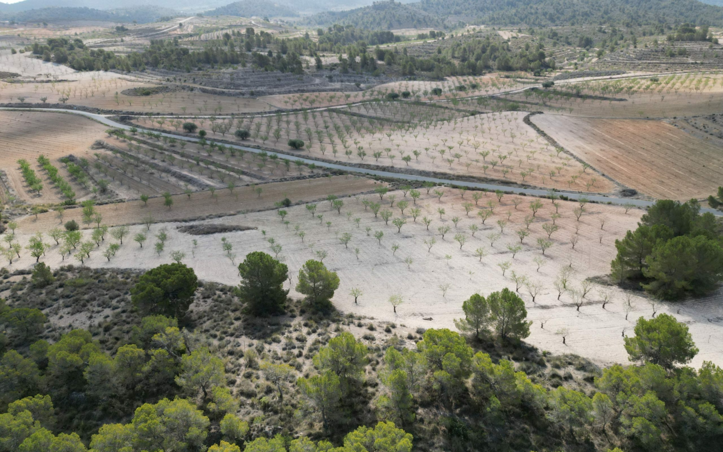 Land In La Zarza, Spain (28.238 M² Plot)