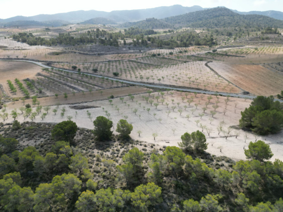 Land In La Zarza, Spain (28.238 M² Plot)