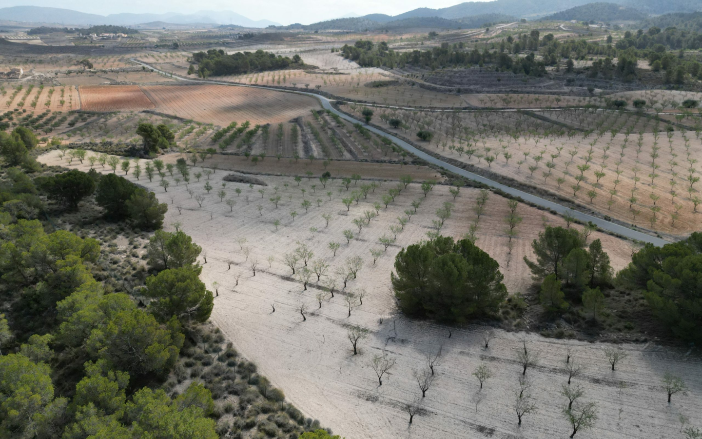 Land In La Zarza, Spain (28.238 M² Plot)