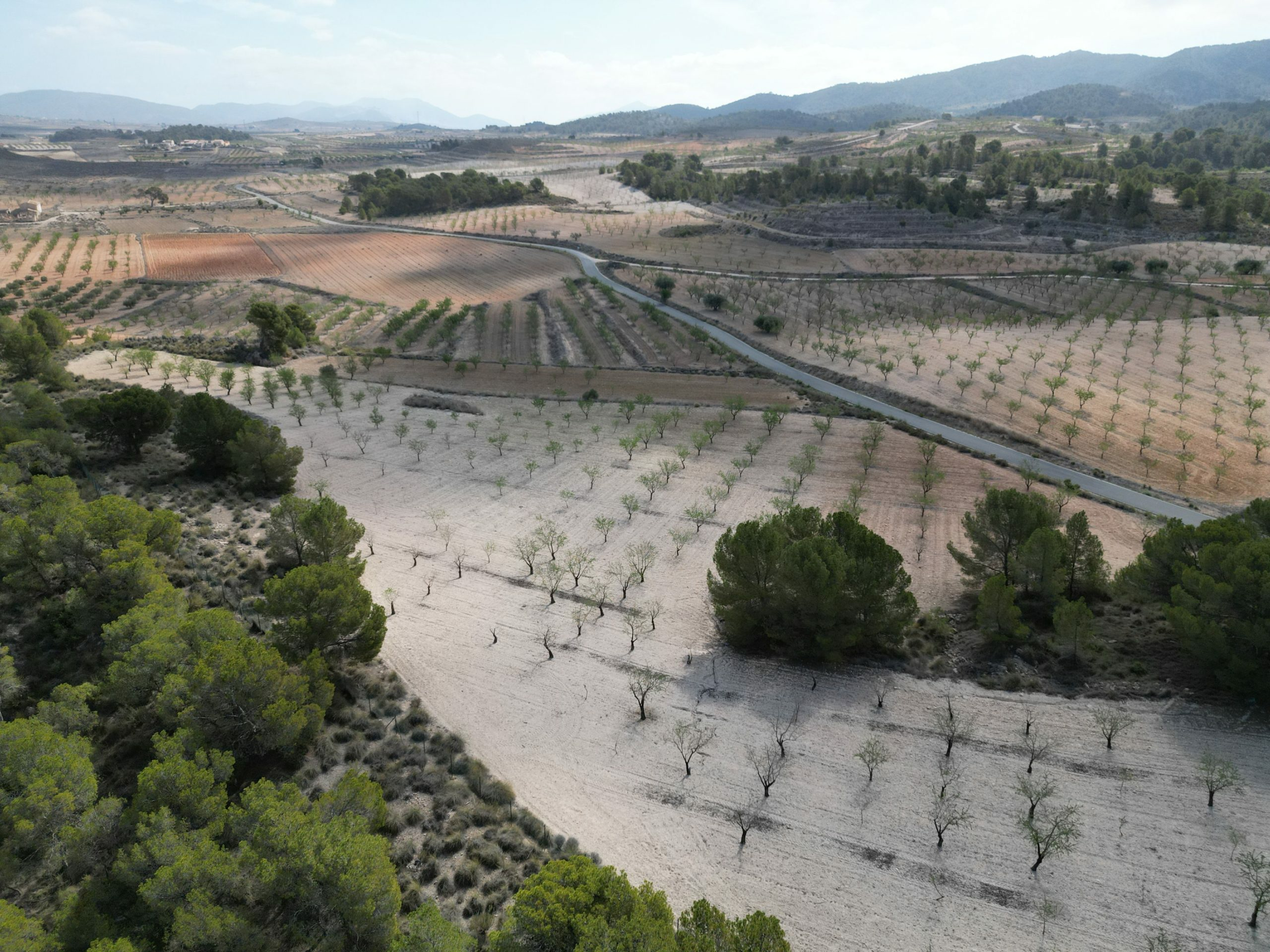 Land In La Zarza, Spain (28.238 M² Plot)