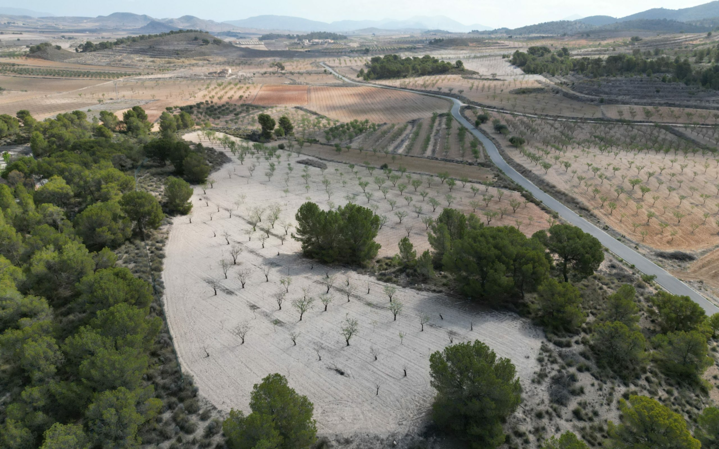 Land In La Zarza, Spain (28.238 M² Plot)