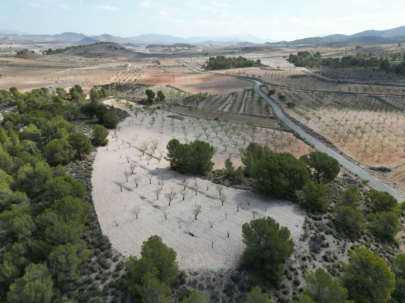 Land In La Zarza, Spain (28.238 M² Plot)