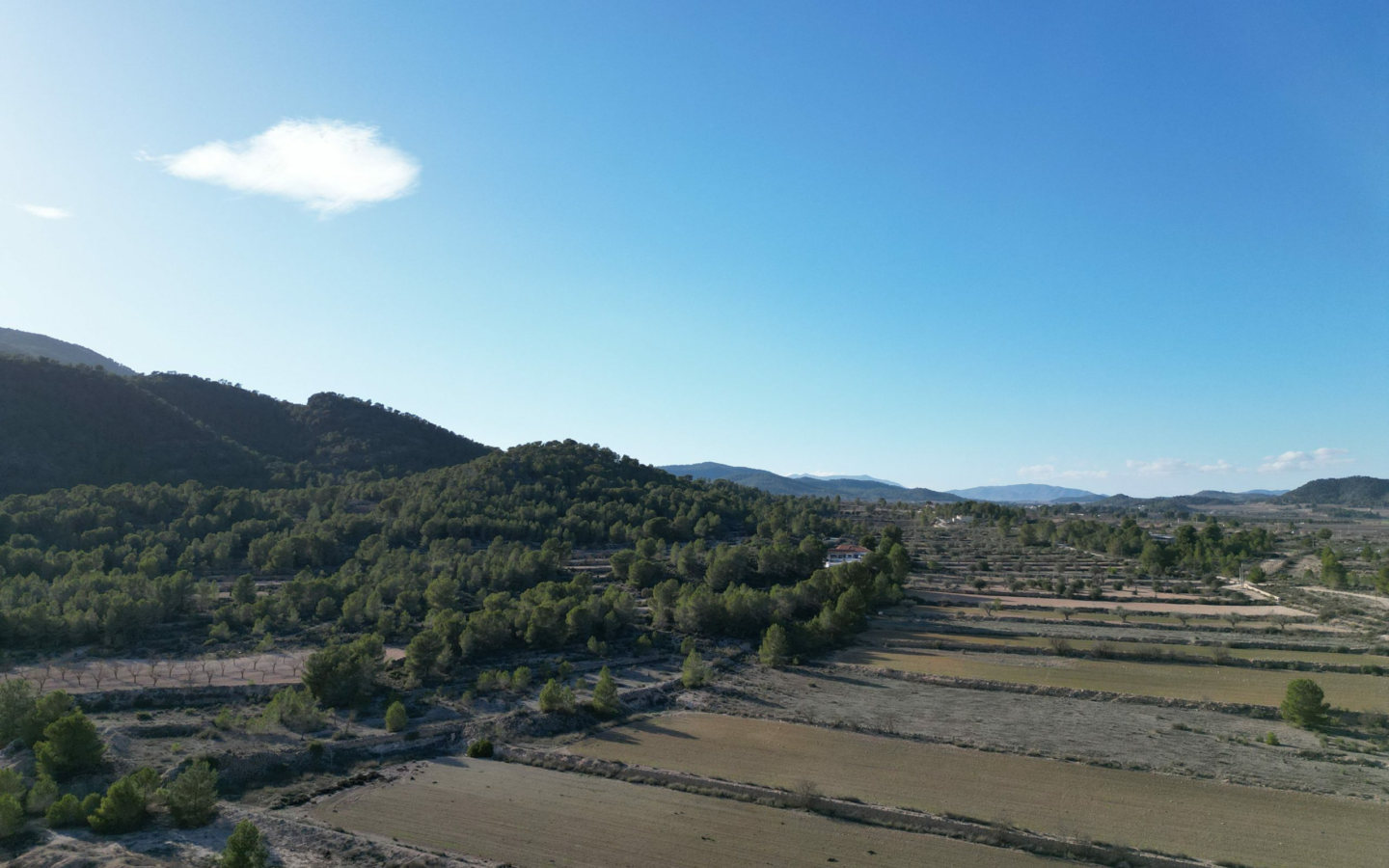 Land In Monovar, Spain (23.792 M² Plot)