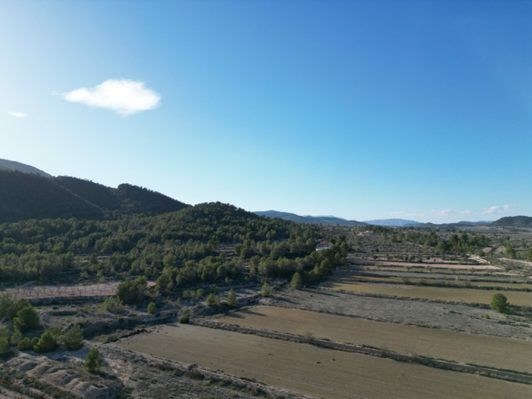 Land In Monovar, Spain (23.792 M² Plot)