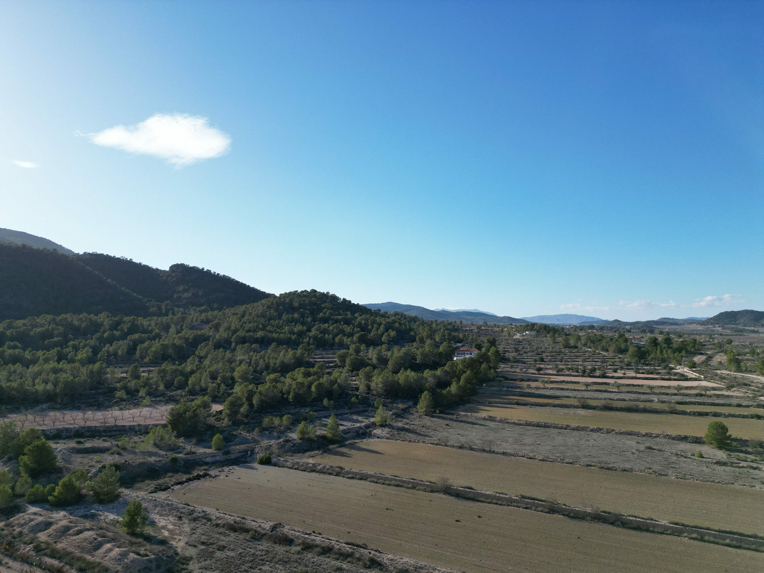 Land In Monovar, Spain (23.792 M² Plot)