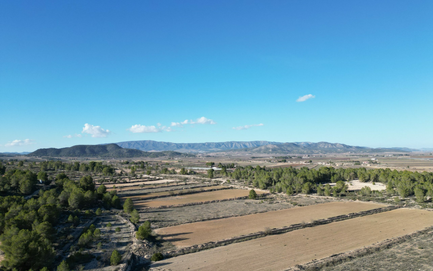 Land In Monovar, Spain (23.792 M² Plot)