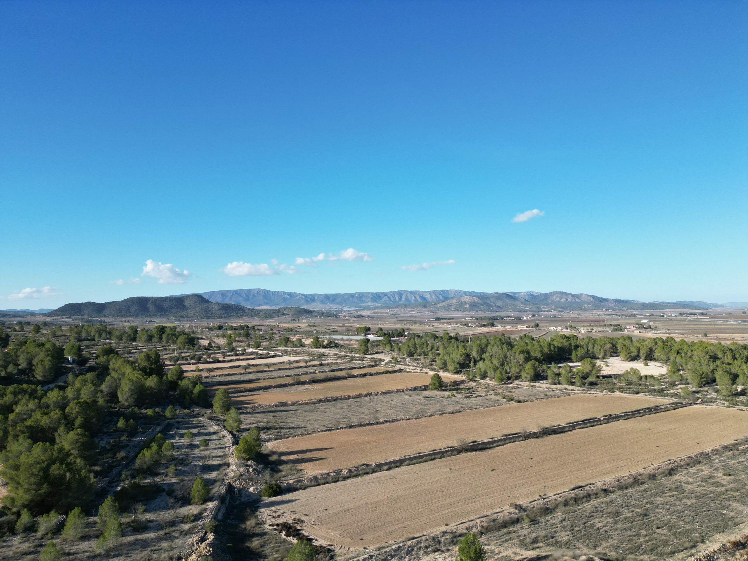 Land In Monovar, Spain (23.792 M² Plot)