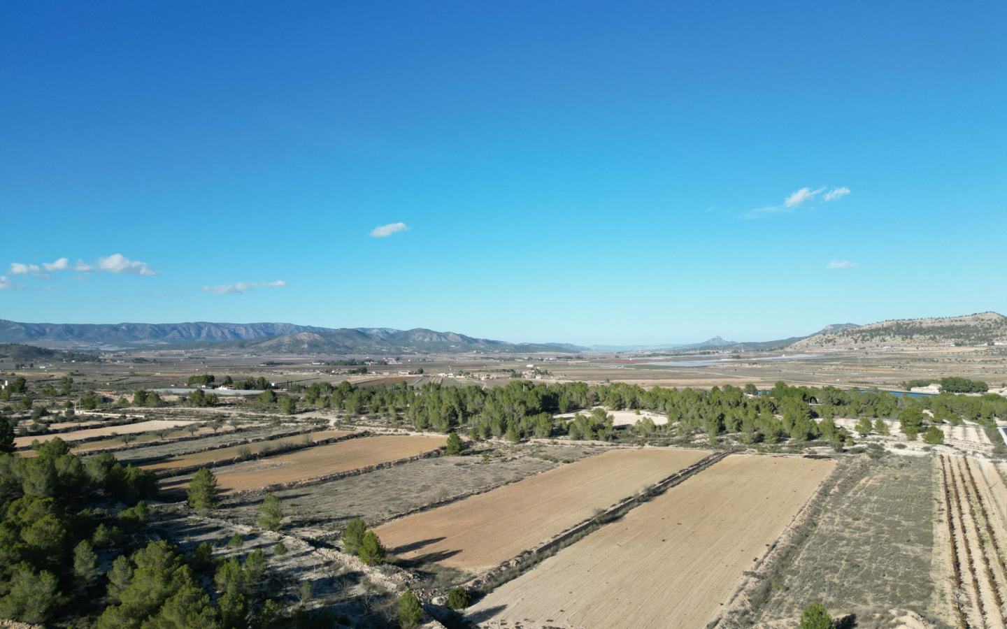 Land In Monovar, Spain (23.792 M² Plot)