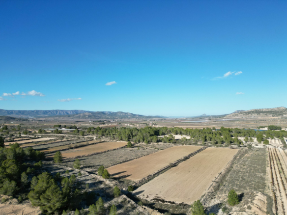 Land In Monovar, Spain (23.792 M² Plot)