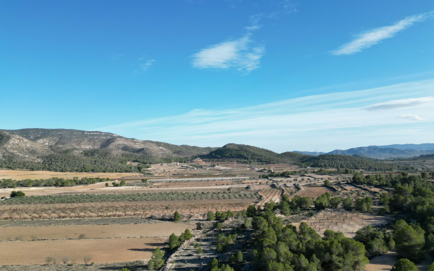 Land In Monovar, Spain (23.792 M² Plot)