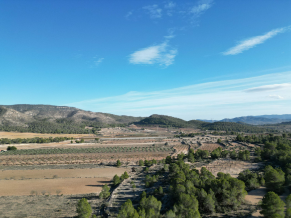 Land In Monovar, Spain (23.792 M² Plot)