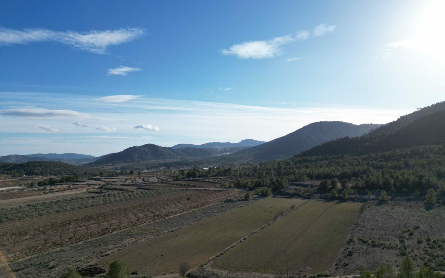Land In Monovar, Spain (23.792 M² Plot)