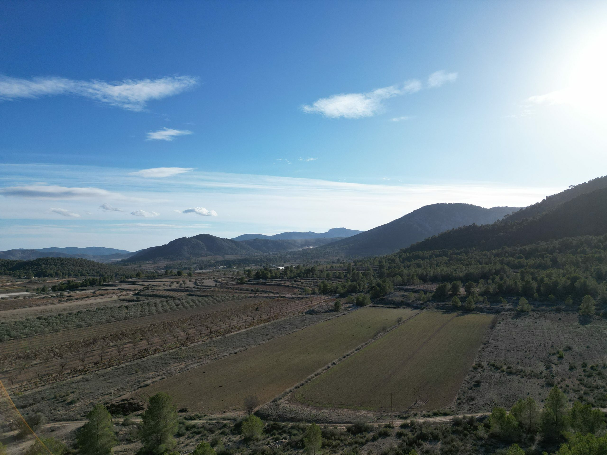 Land In Monovar, Spain (23.792 M² Plot)