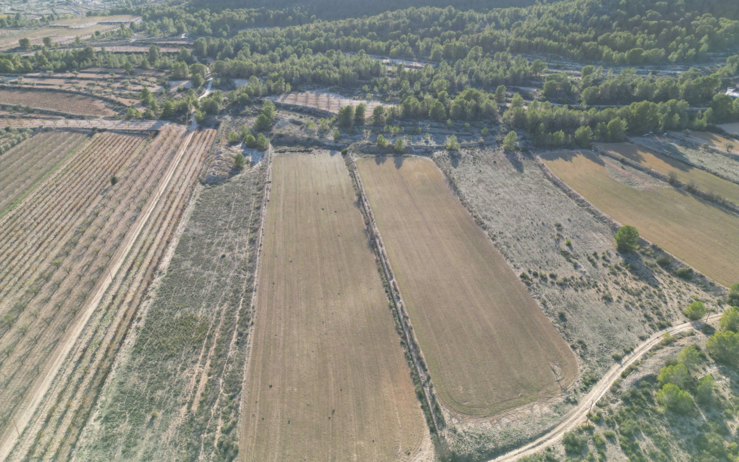 Land In Monovar, Spain (23.792 M² Plot)