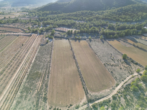 Land In Monovar, Spain (23.792 M² Plot)