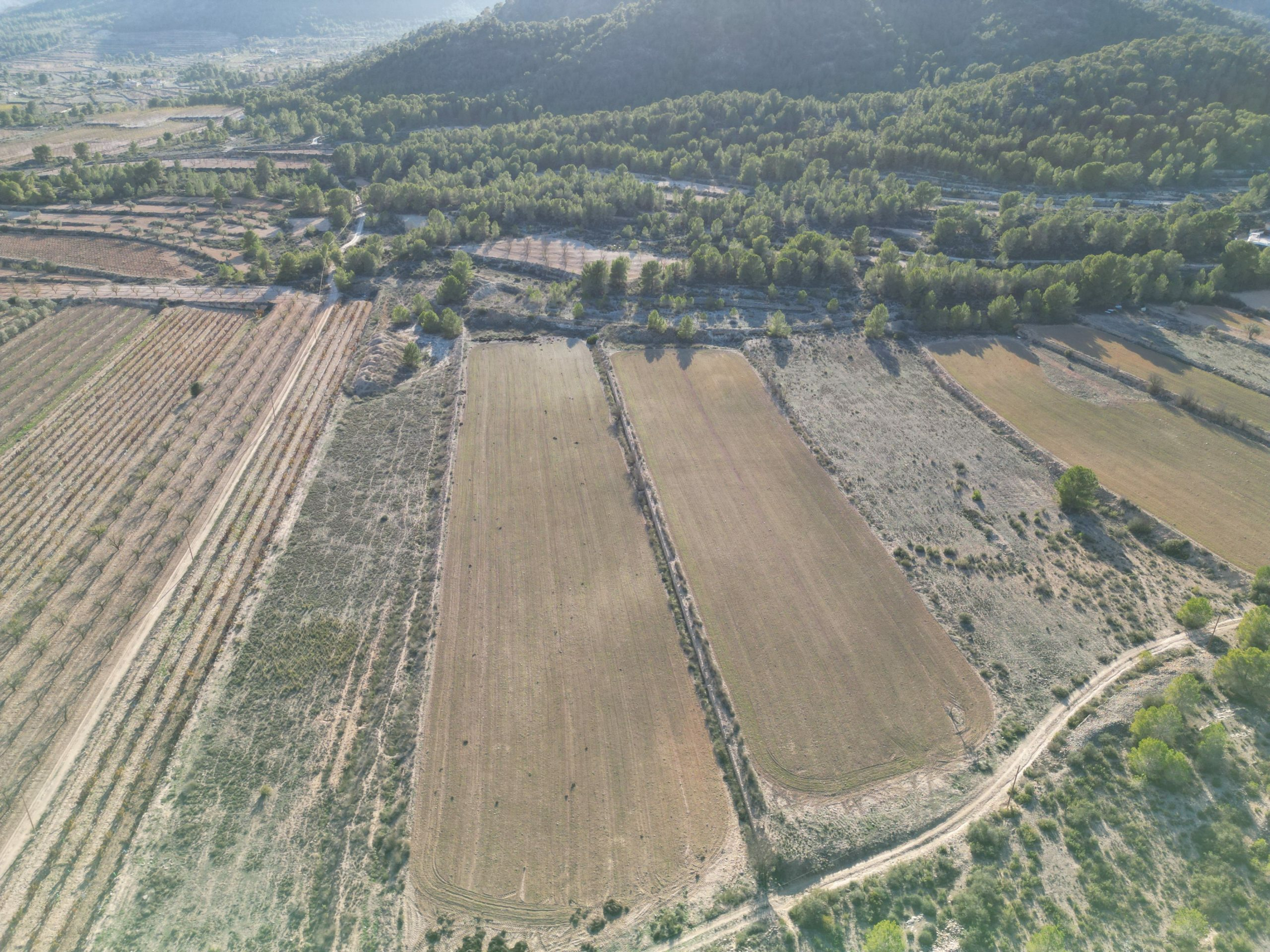 Land In Monovar, Spain (23.792 M² Plot)