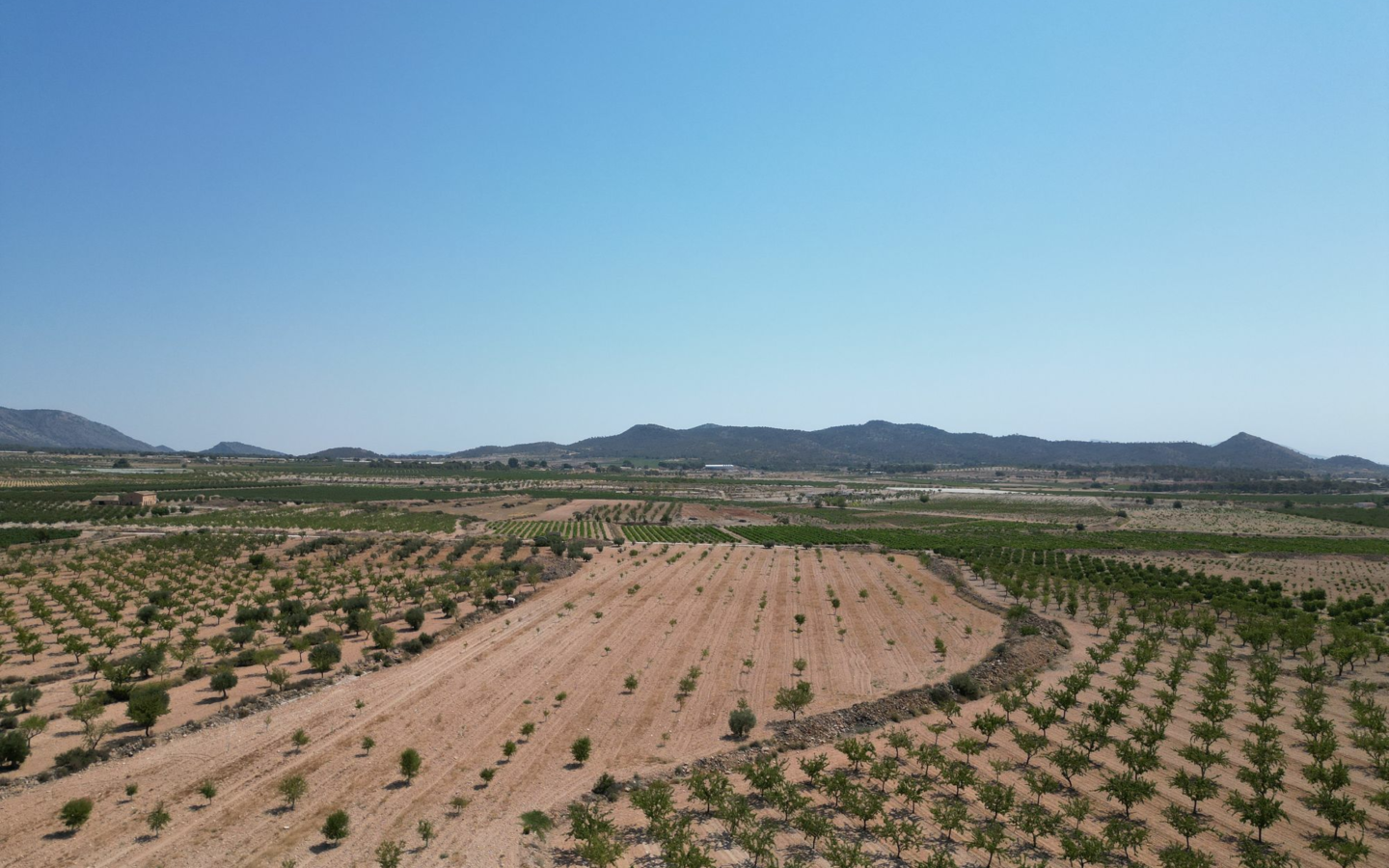 Land In Pinoso, Spain (30.590 M² Plot)