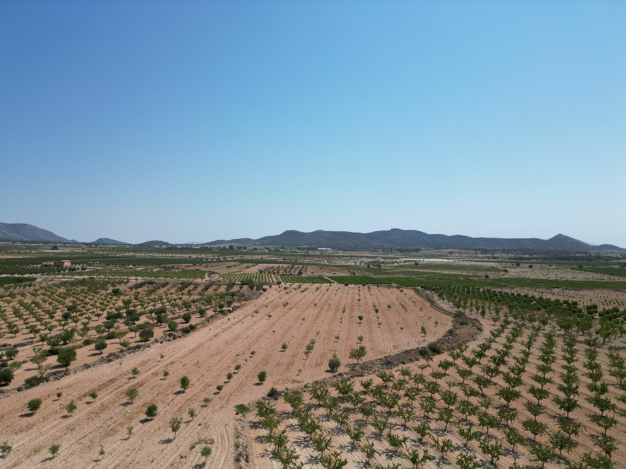 Land In Pinoso, Spain (30.590 M² Plot)